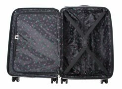 Betsey Johnson 30 Inch Checked Luggage Collection - Expandable Scratch Resistant (ABS + PC) Hardside Suitcase - Designer Lightweight Bag With 8-Rolling Spinner Wheels (Stripe Roses) -suitcase shop 81tafD6Tx4L